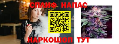 стаф Аша