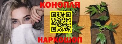 мяу мяу мука Краснодар