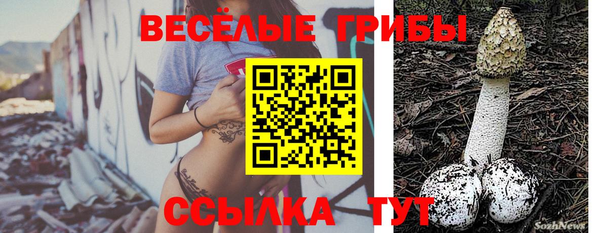 Галлюциногенные грибы Magic Shrooms  Вход с VPN  Зерноград  Псилоцибиновые грибы прущие грибы 